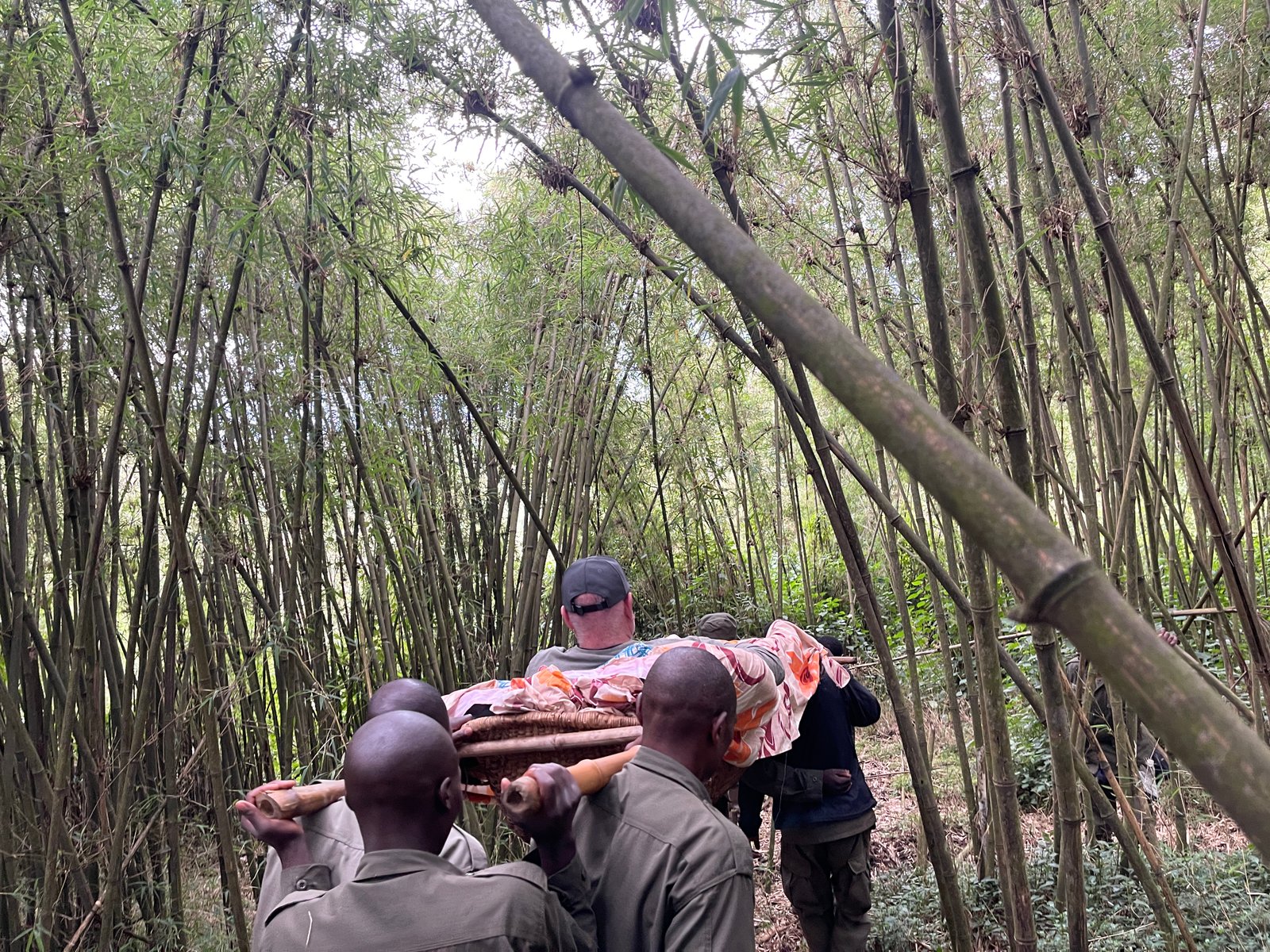 Gallery image for Pack with Purpose: Essential Tips for Your Unforgettable Gorilla Trek in Rwanda
