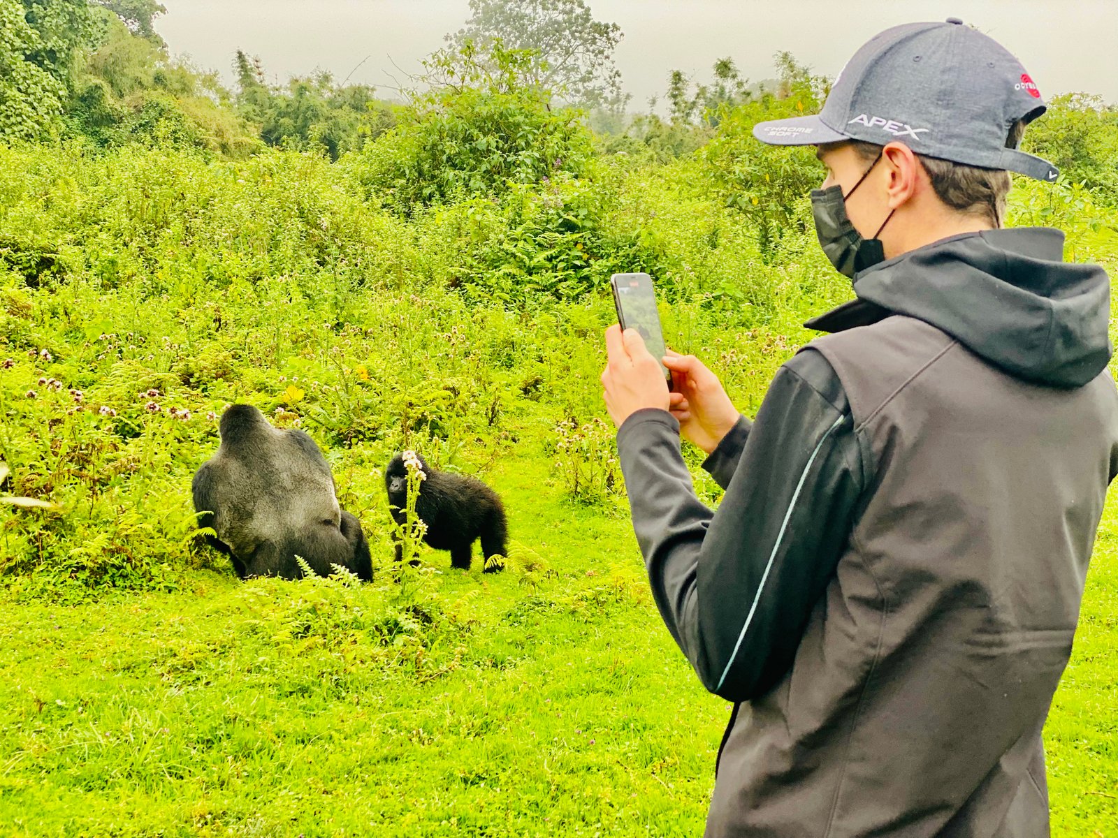 Gallery image for Why December is the Perfect Month for Gorilla Trekking in Rwanda