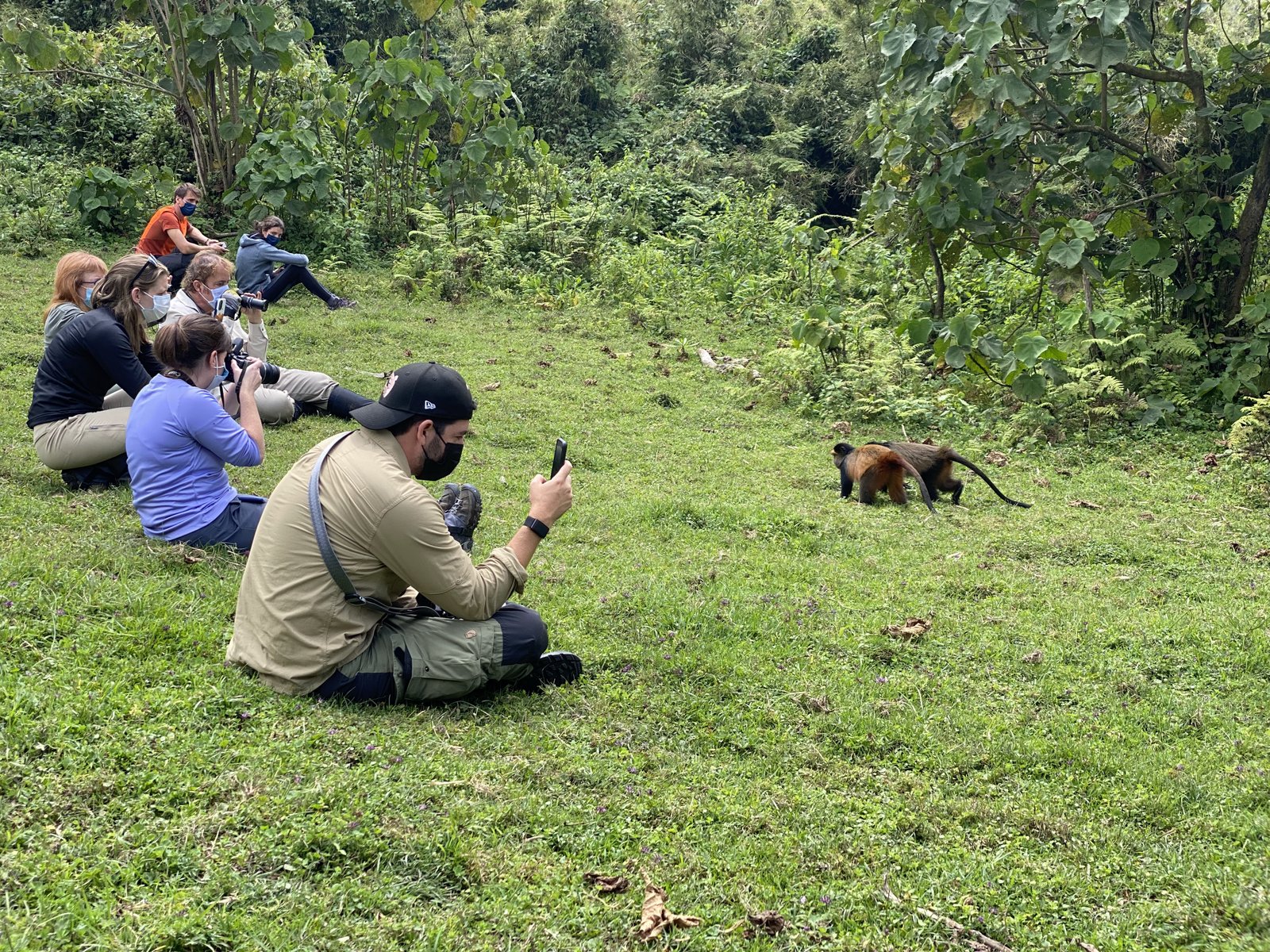 Gallery image for Why December is the Perfect Month for Gorilla Trekking in Rwanda