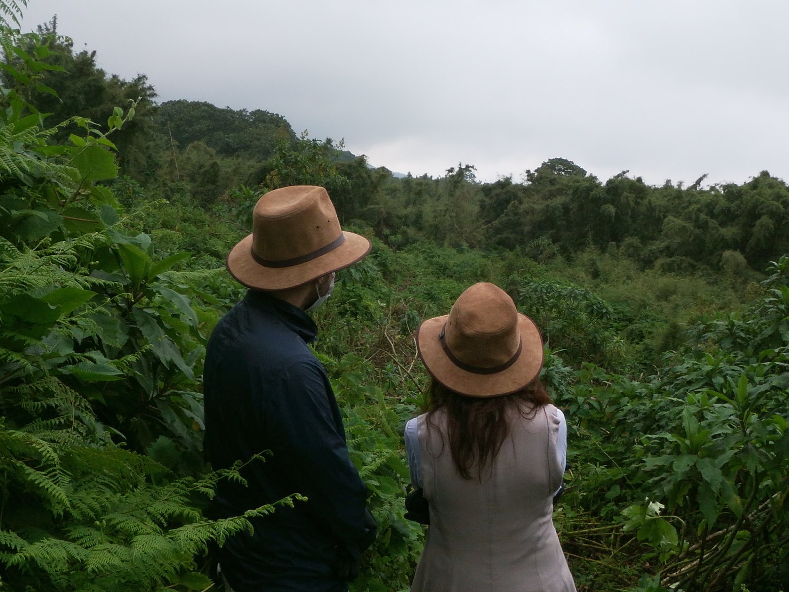 Gallery image for Is It Safe to Go Gorilla Trekking in 2026? Inside the Virunga Region of Rwanda, Uganda and Congo
