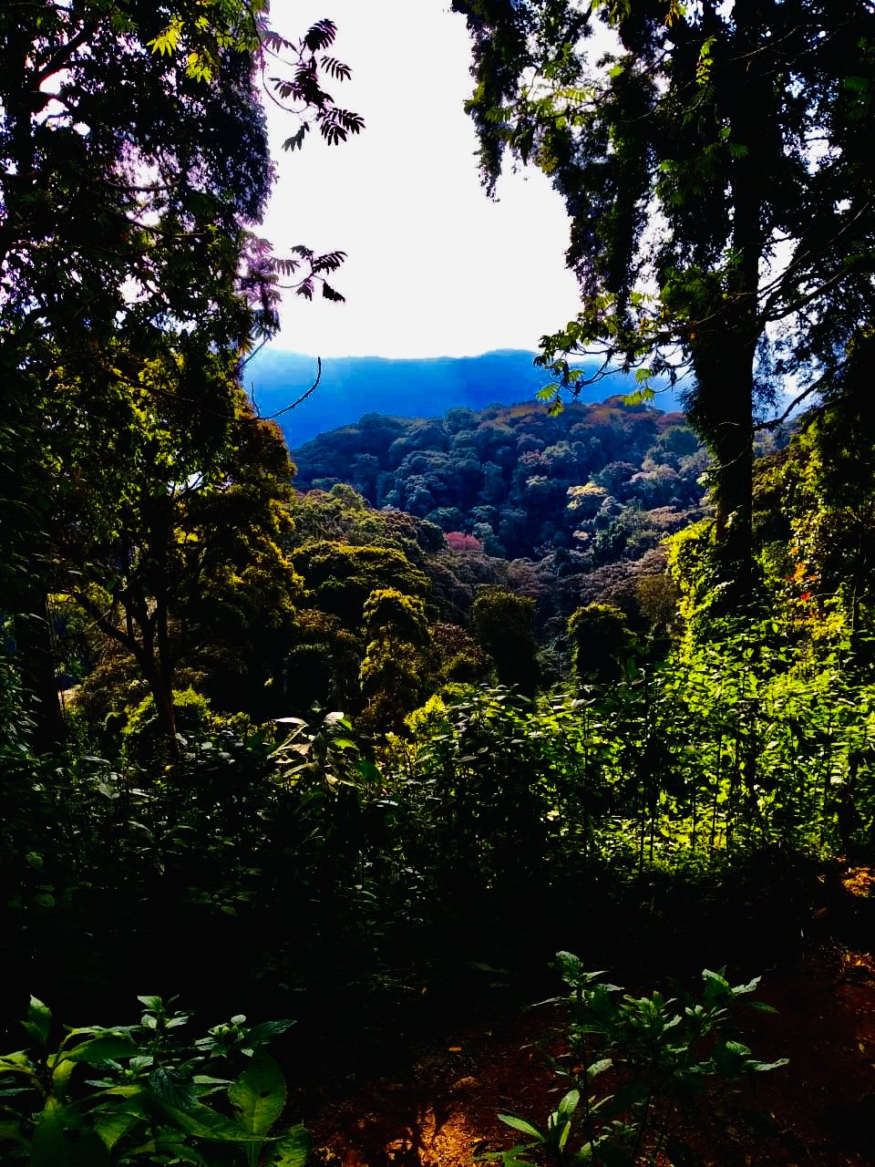 Uganda