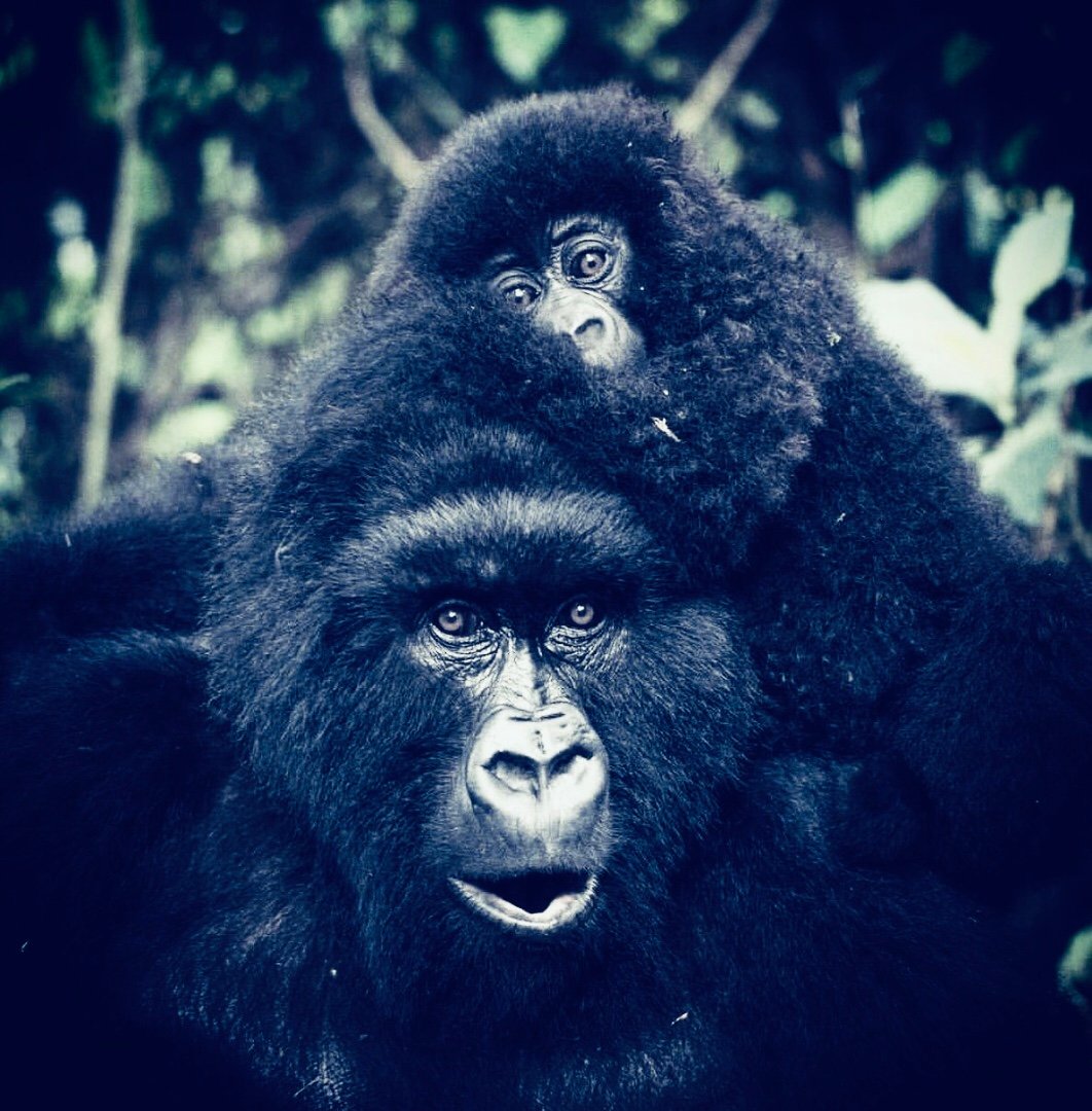 Rwanda