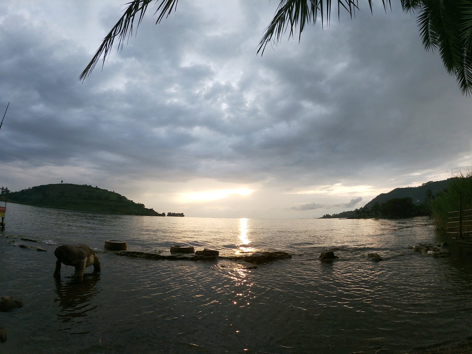 DRCongo