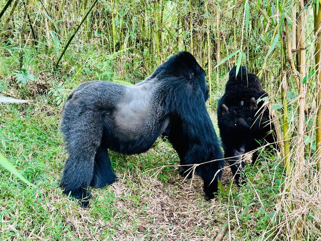 Rwanda