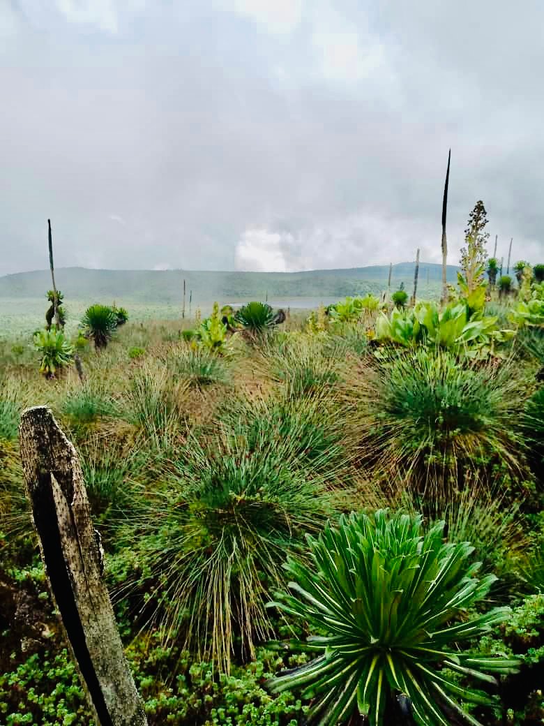 DRCongo