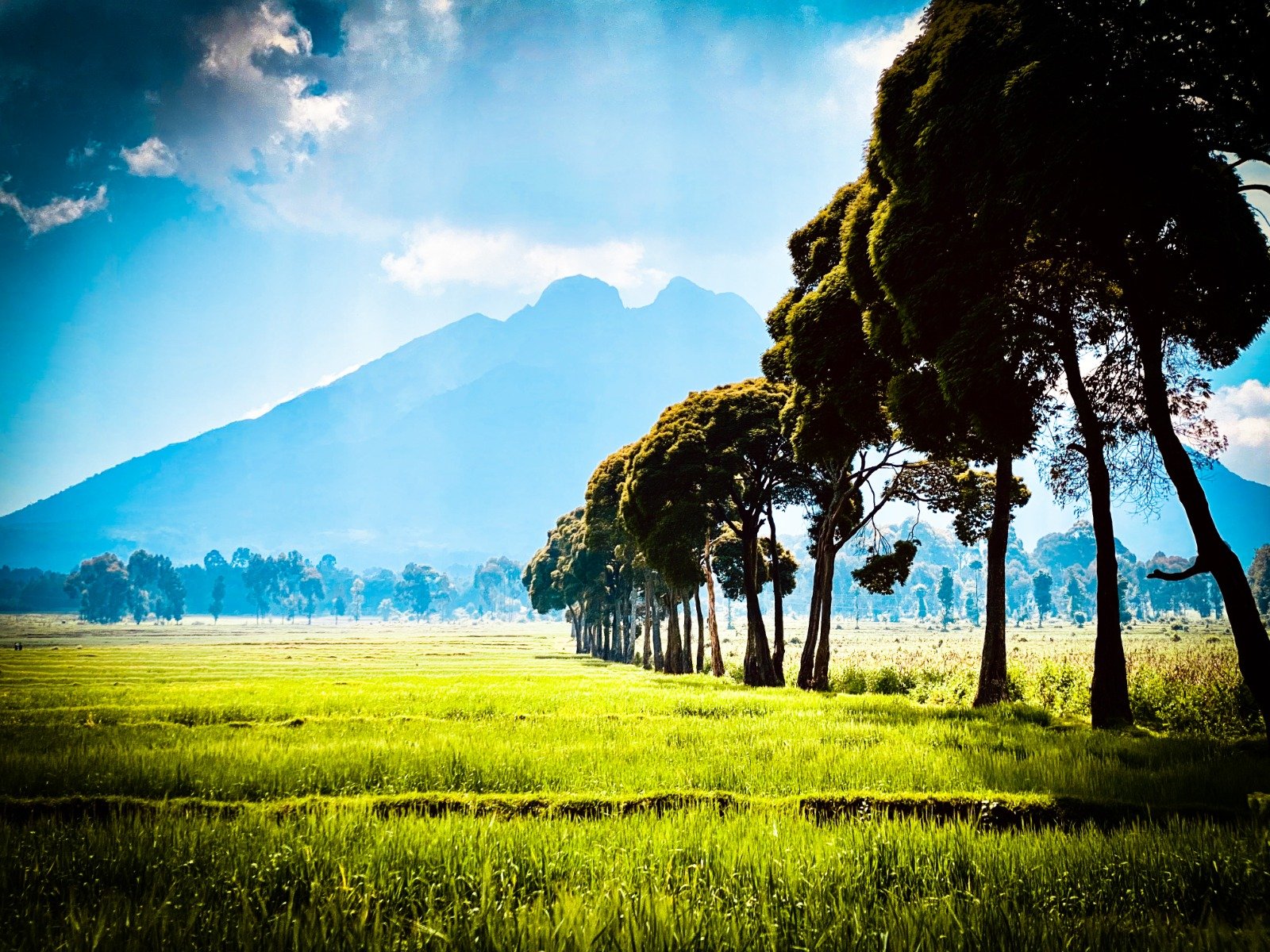 Rwanda