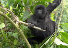 DRCongo