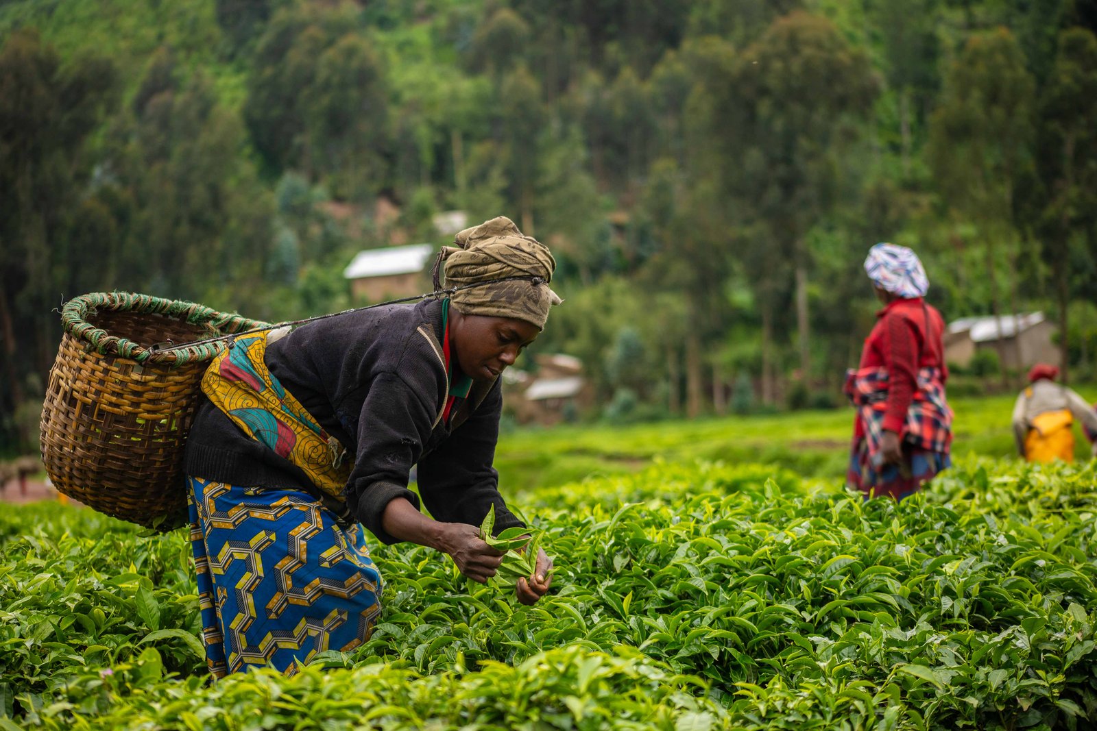 Rwanda