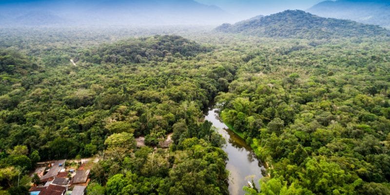 Kahuzi Biega National Park