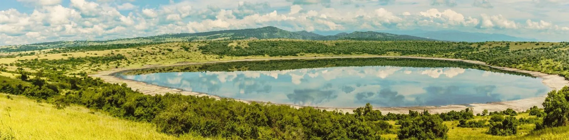 7-Day Ultimate Uganda Safari Adventure