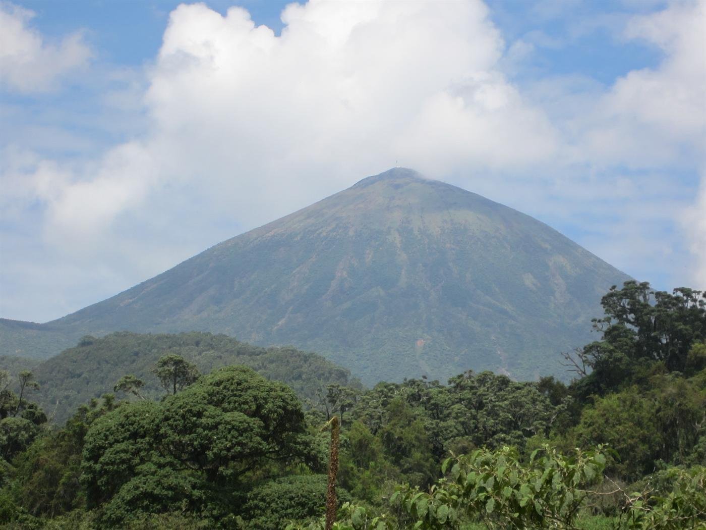 THE KISORO HIGHLANDS