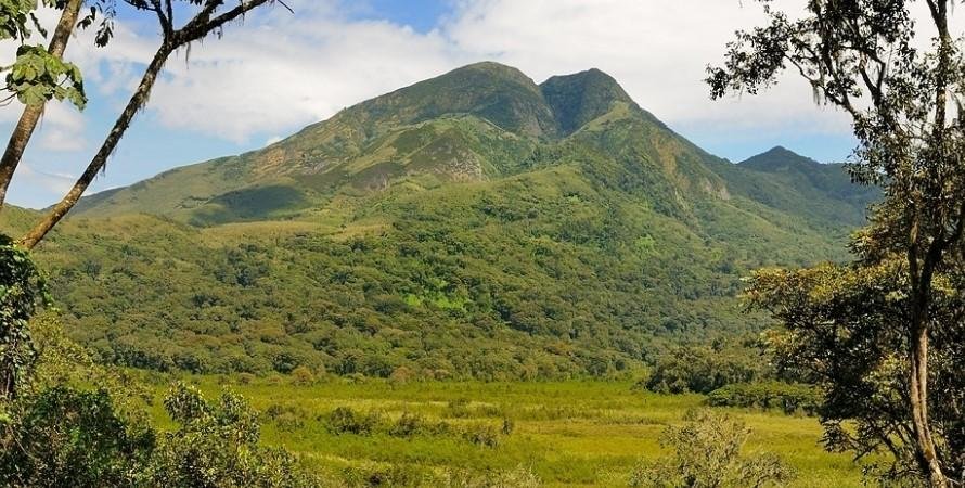 THE UGANDA VIRUNGA IMMERSION
